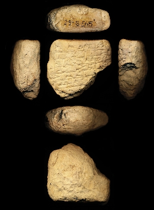 29-13-565