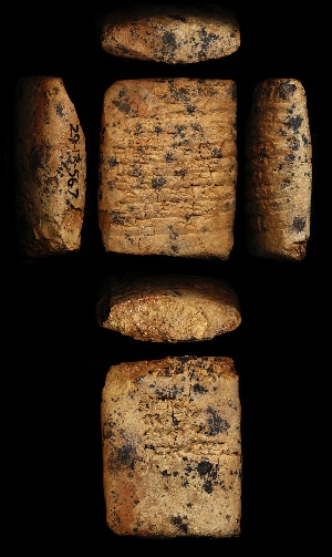 29-13-567