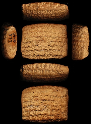 29-13-572