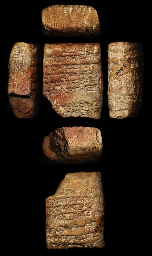 29-13-586