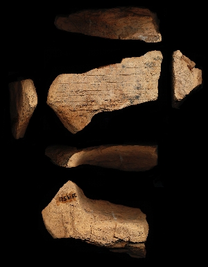 29-13-589