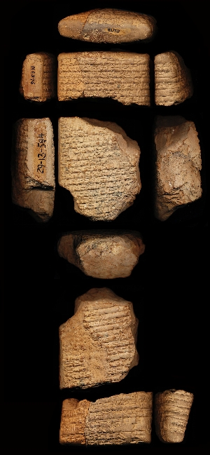29-13-594