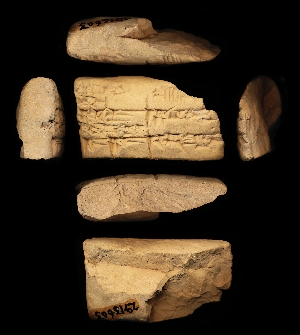 29-13-603