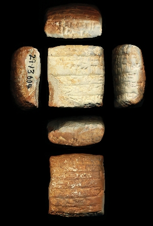 29-13-604