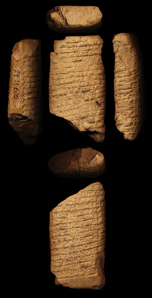 29-13-605