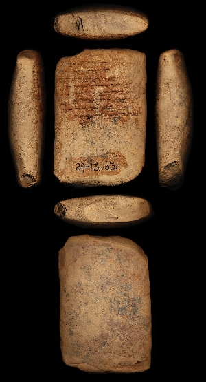 29-13-631