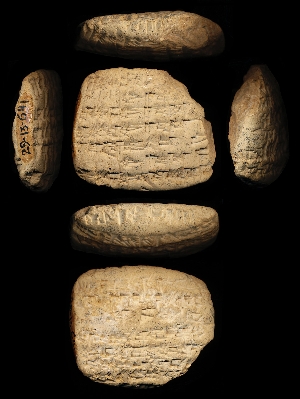 29-13-641