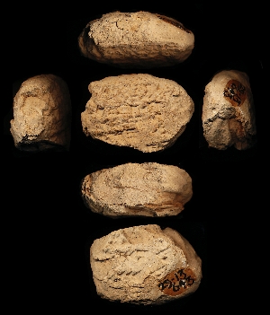 29-13-643