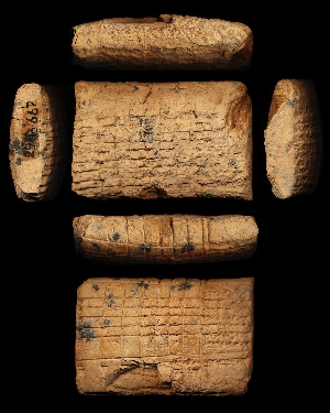 29-13-667