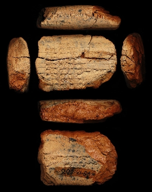 29-13-668