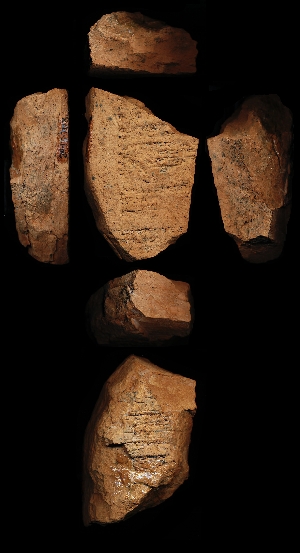29-13-703