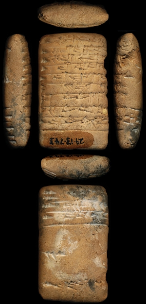 29-13-743
