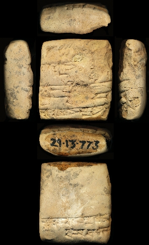 29-13-773