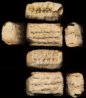 29-13-854