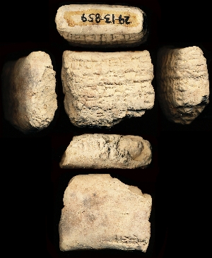 29-13-859
