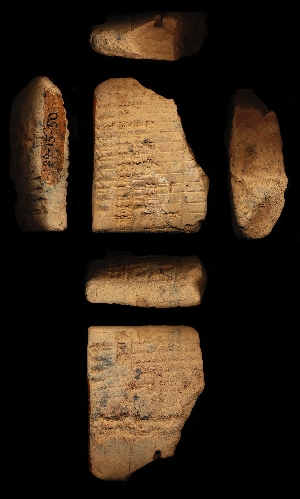 29-15-50