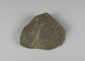 9072
