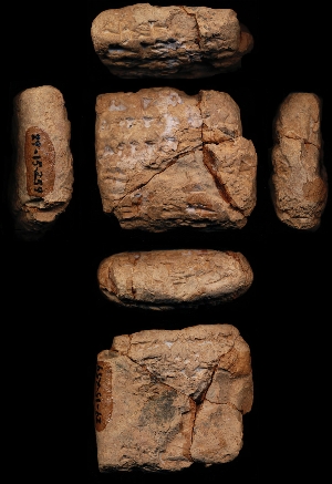 29-15-259