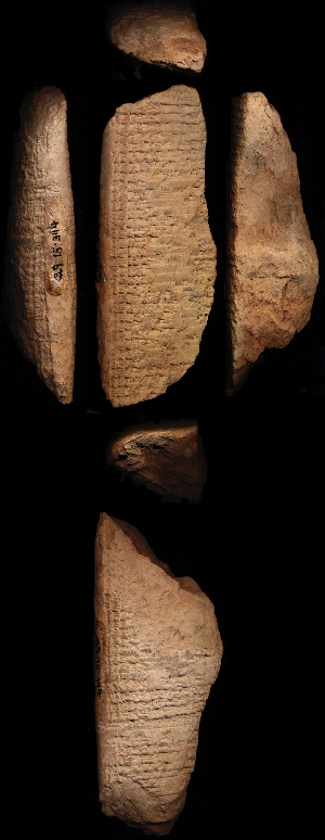 29-15-344