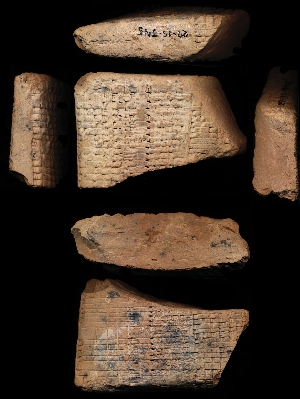 29-15-345