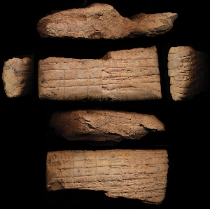 29-15-353