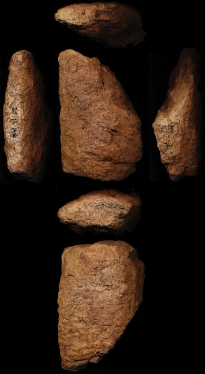 29-15-354