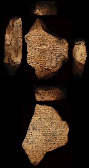 29-15-390