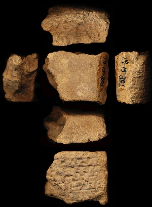29-15-391
