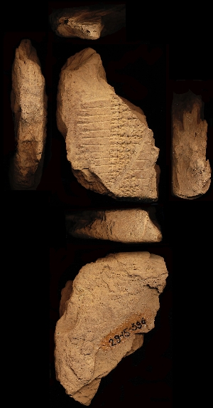 29-15-396