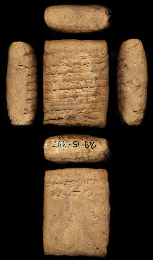 29-15-397