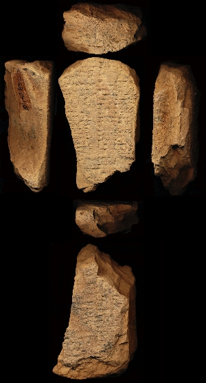 29-15-407