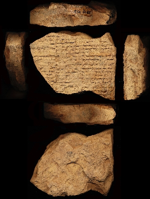 29-15-428