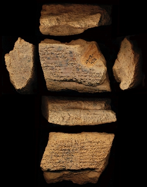 29-15-431
