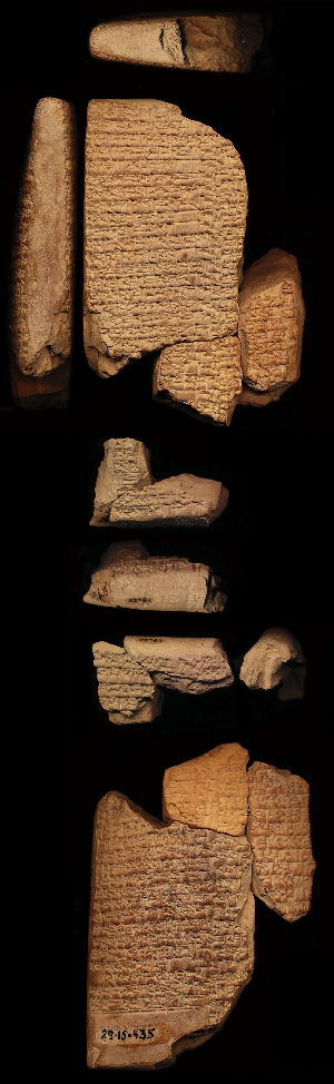 29-15-435