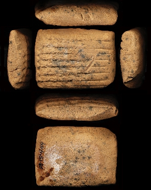 29-15-444