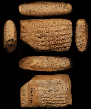 29-15-445