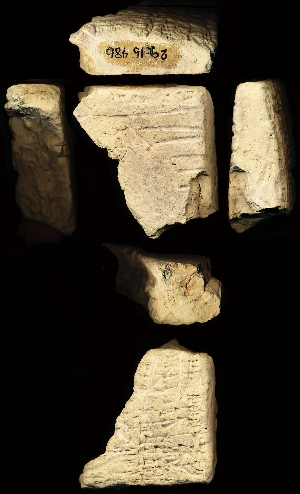 29-15-486