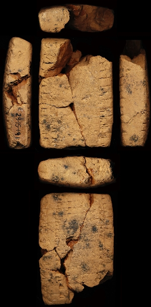 29-15-491