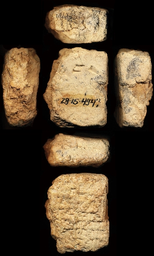 29-15-494