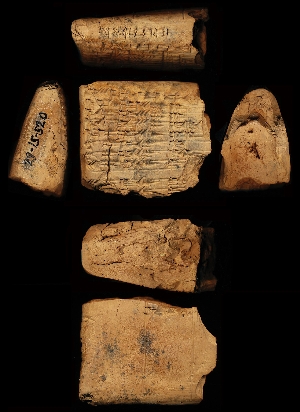 29-15-520