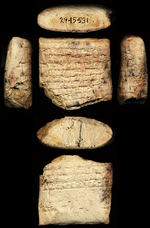 29-15-531