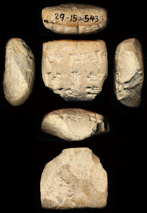 29-15-543