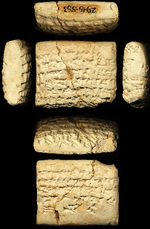 29-15-553