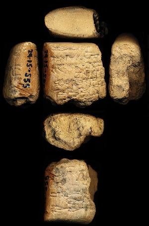 29-15-555