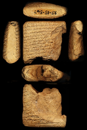 29-15-567
