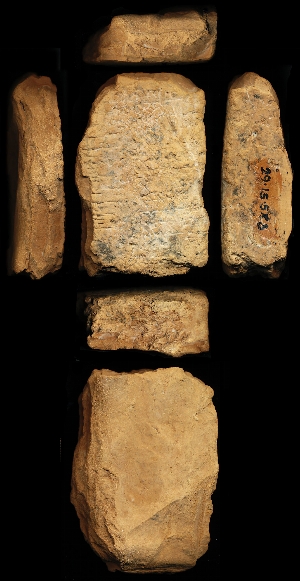 29-15-583