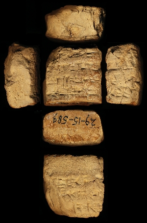 29-15-589