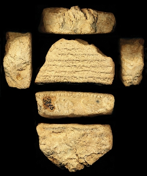 29-15-595