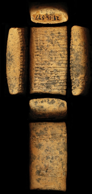 29-15-597