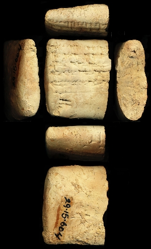 29-15-604